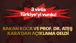 3 virüs Türkiye'yi vurdu! Bakan Koca ve Prof. Dr. Ateş Kara'dan açıklama geldi